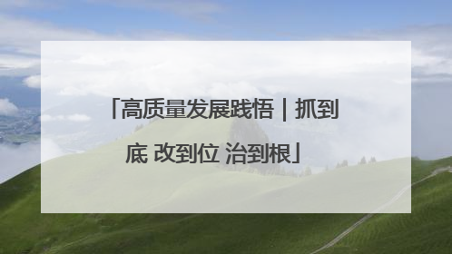 高质量发展践悟｜抓到底 改到位 治到根