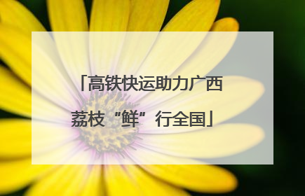 高铁快运助力广西荔枝“鲜”行全国
