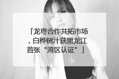 龙粤合作共拓市场，白桦树汁获黑龙江首张“湾区认证”