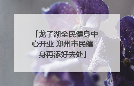龙子湖全民健身中心开业 郑州市民健身再添好去处