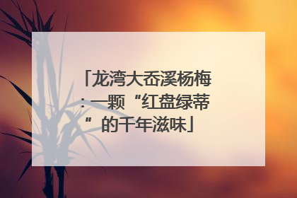 龙湾大岙溪杨梅：一颗“红盘绿蒂”的千年滋味