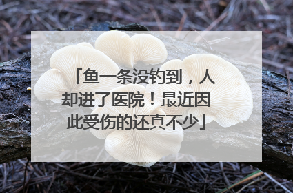 鱼一条没钓到，人却进了医院！最近因此受伤的还真不少