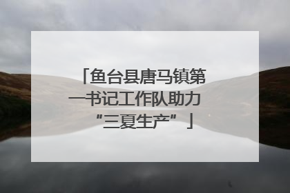 鱼台县唐马镇第一书记工作队助力“三夏生产”