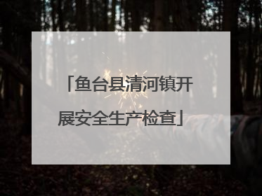 鱼台县清河镇开展安全生产检查