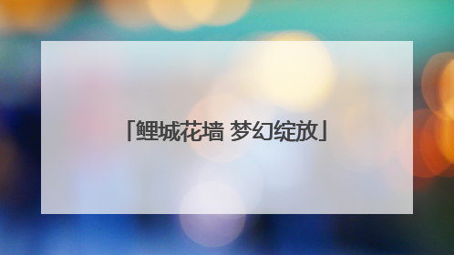 鲤城花墙 梦幻绽放