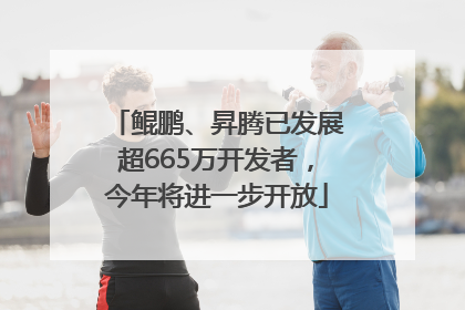 鲲鹏、昇腾已发展超665万开发者，今年将进一步开放
