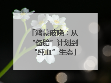 鸿蒙破晓：从“备胎”计划到“纯血”生态