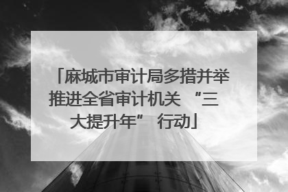 麻城市审计局多措并举推进全省审计机关 “三大提升年” 行动