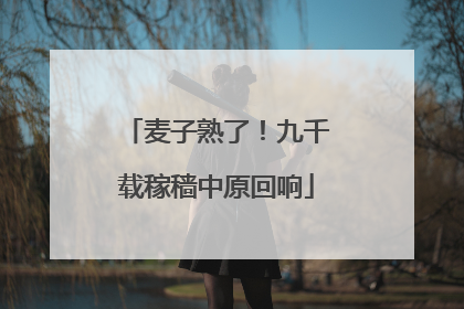 麦子熟了！九千载稼穑中原回响