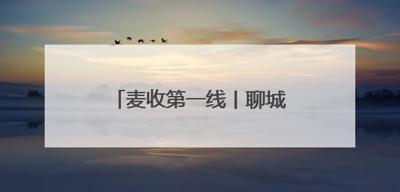 麦收第一线丨聊城打造集中晾晒场地，让农民省心又省力