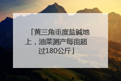 黄三角重度盐碱地上，油菜测产每亩超过180公斤