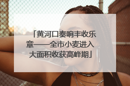 黄河口奏响丰收乐章——全市小麦进入大面积收获高峰期