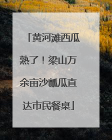 黄河滩西瓜熟了！梁山万余亩沙瓤瓜直达市民餐桌