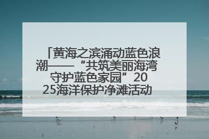 黄海之滨涌动蓝色浪潮——“共筑美丽海湾 守护蓝色家园”2025海洋保护净滩活动暨“美丽江苏—江河湖海青蓝行”海洋篇在连云港举行