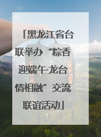 黑龙江省台联举办“粽香迎端午·龙台情相融”交流联谊活动