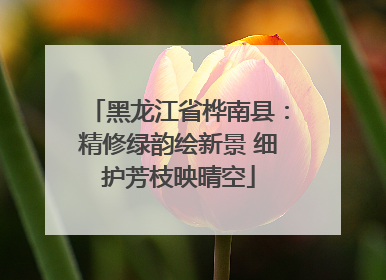 黑龙江省桦南县：精修绿韵绘新景 细护芳枝映晴空