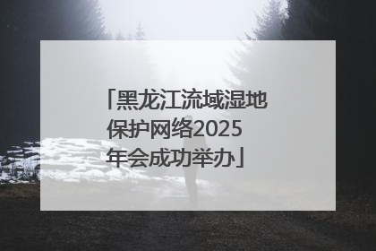 黑龙江流域湿地保护网络2025年会成功举办