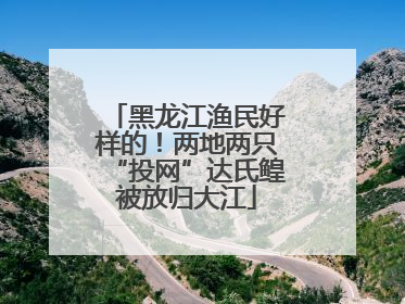 黑龙江渔民好样的！两地两只“投网”达氏鳇被放归大江