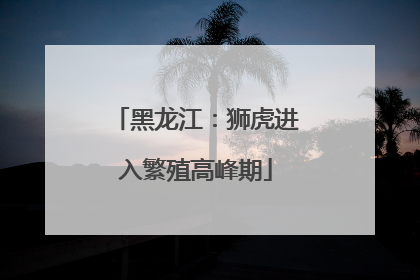 黑龙江：狮虎进入繁殖高峰期