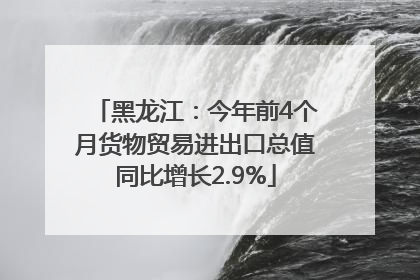 黑龙江：今年前4个月货物贸易进出口总值同比增长2.9%