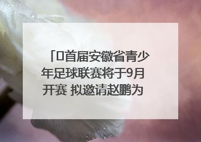 ﻿首届安徽省青少年足球联赛将于9月开赛 拟邀请赵鹏为先导赛开球