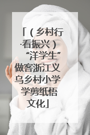 （乡村行·看振兴）“洋学生”做客浙江义乌乡村小学 学剪纸悟文化