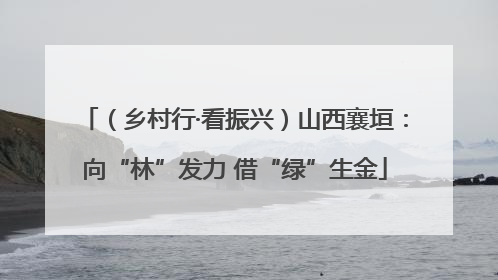 （乡村行·看振兴）山西襄垣：向“林”发力 借“绿”生金
