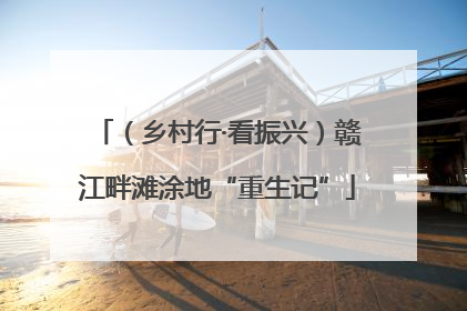 （乡村行·看振兴）赣江畔滩涂地“重生记”