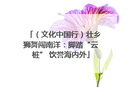 （文化中国行）壮乡狮舞闯南洋：脚踏“云桩” 饮誉海内外