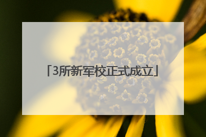 3所新军校正式成立