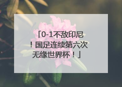 0-1不敌印尼！国足连续第六次无缘世界杯！