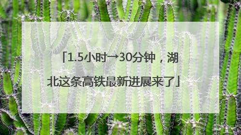 1.5小时→30分钟，湖北这条高铁最新进展来了