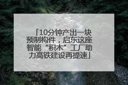 10分钟产出一块预制构件，启东这座智能“积木”工厂助力高铁建设再提速