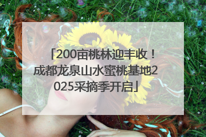 200亩桃林迎丰收！成都龙泉山水蜜桃基地2025采摘季开启