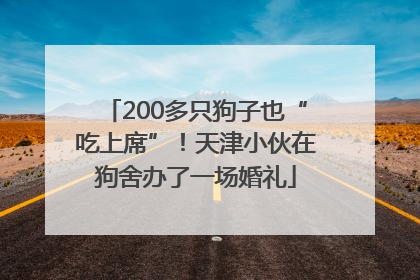 200多只狗子也“吃上席”！天津小伙在狗舍办了一场婚礼
