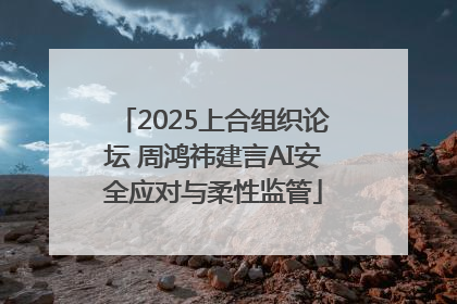 2025上合组织论坛 周鸿祎建言AI安全应对与柔性监管