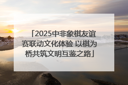 2025中非象棋友谊赛联动文化体验 以棋为桥共筑文明互鉴之路