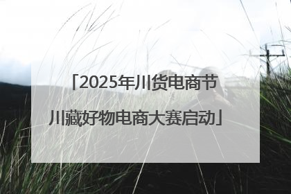 2025年川货电商节川藏好物电商大赛启动