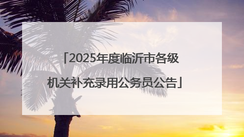 2025年度临沂市各级机关补充录用公务员公告
