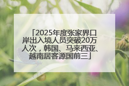 2025年度张家界口岸出入境人员突破20万人次，韩国、马来西亚、越南居客源国前三
