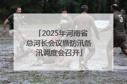 2025年河南省总河长会议暨防汛备汛调度会召开