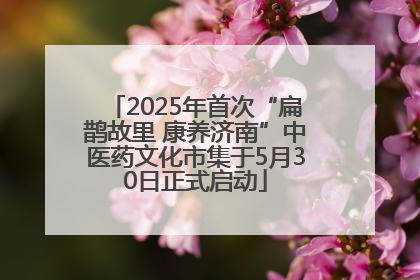 2025年首次“扁鹊故里 康养济南”中医药文化市集于5月30日正式启动