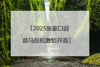 2025张家口蔚县马拉松激情开赛
