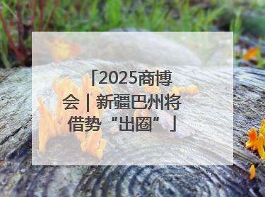 2025商博会｜新疆巴州将借势“出圈”