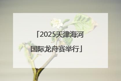 2025天津海河国际龙舟赛举行