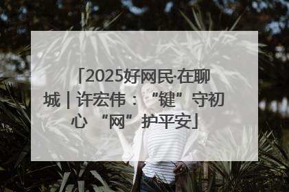 2025好网民·在聊城｜许宏伟：“键”守初心 “网”护平安