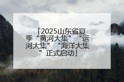 2025山东省夏季“黄河大集”“运河大集”“海洋大集”正式启动