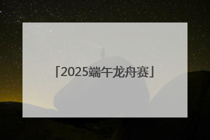 2025端午龙舟赛
