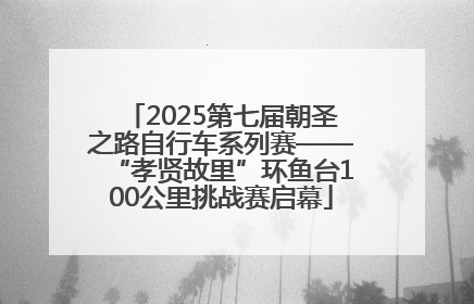 2025第七届朝圣之路自行车系列赛——“孝贤故里”环鱼台100公里挑战赛启幕