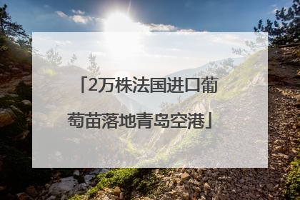 2万株法国进口葡萄苗落地青岛空港